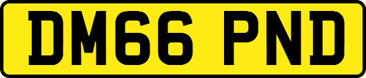 DM66PND