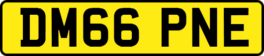 DM66PNE