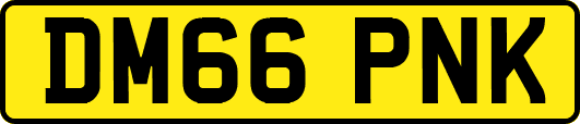 DM66PNK