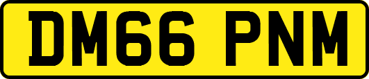 DM66PNM