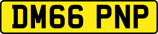 DM66PNP