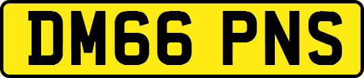 DM66PNS