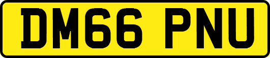 DM66PNU