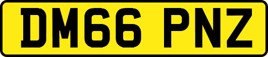 DM66PNZ
