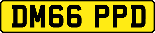 DM66PPD