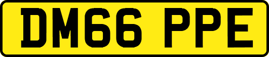 DM66PPE