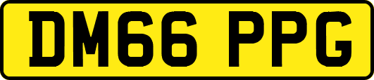 DM66PPG