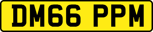 DM66PPM