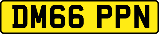 DM66PPN