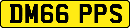 DM66PPS