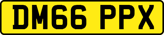 DM66PPX