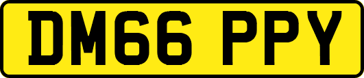 DM66PPY