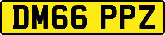 DM66PPZ