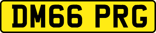 DM66PRG