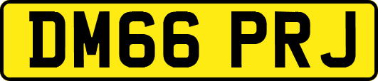 DM66PRJ