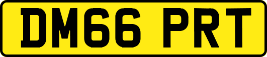 DM66PRT