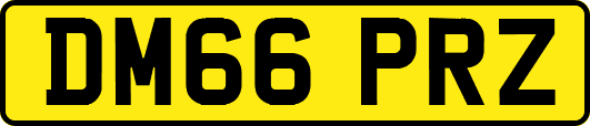 DM66PRZ
