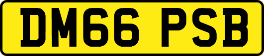 DM66PSB