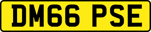 DM66PSE