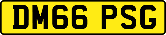 DM66PSG