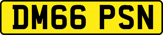 DM66PSN