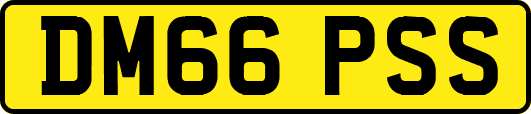 DM66PSS