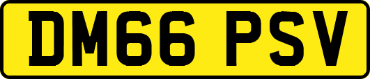 DM66PSV