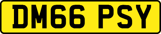 DM66PSY