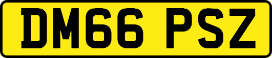 DM66PSZ