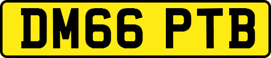 DM66PTB