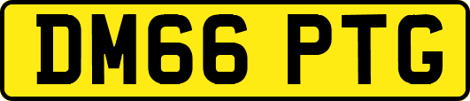 DM66PTG
