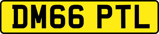 DM66PTL