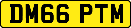 DM66PTM