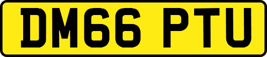 DM66PTU