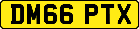 DM66PTX