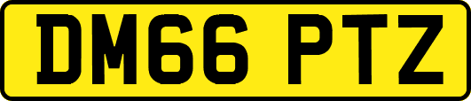 DM66PTZ