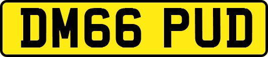 DM66PUD