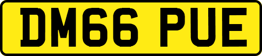 DM66PUE