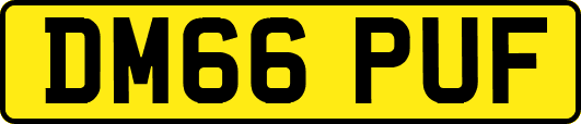 DM66PUF