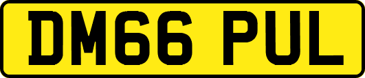 DM66PUL