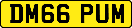 DM66PUM