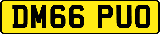 DM66PUO