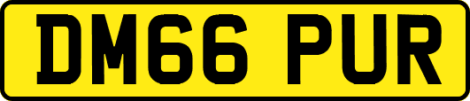 DM66PUR