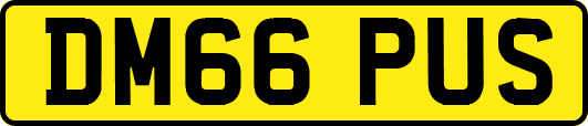 DM66PUS