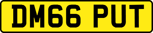 DM66PUT