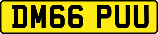 DM66PUU