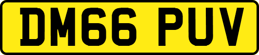 DM66PUV