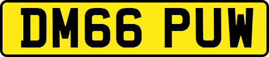 DM66PUW