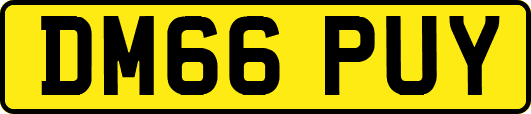 DM66PUY