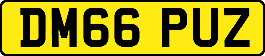 DM66PUZ